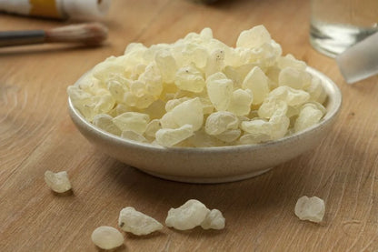 The Invigorating Mastic Gum™